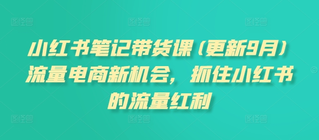 小红书笔记带货课(更新25年3月)流量电商新机会，抓住小红书的流量红利-云创终点站