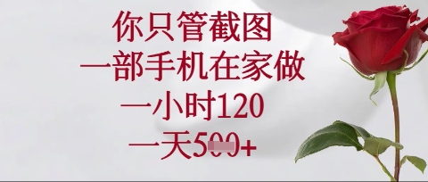 你只管截图，一部手机在家操作，一小时120.一天5张【揭秘】-云创终点站