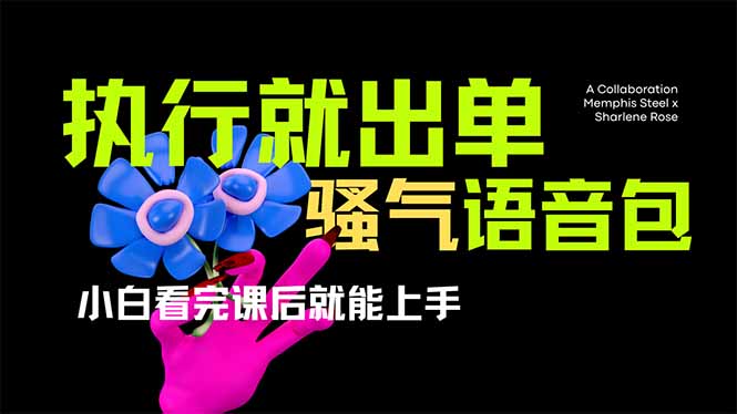 爆火全网的开车导航骚气语音包,只要执行就出单,小白看完课程就能实操…-云创终点站