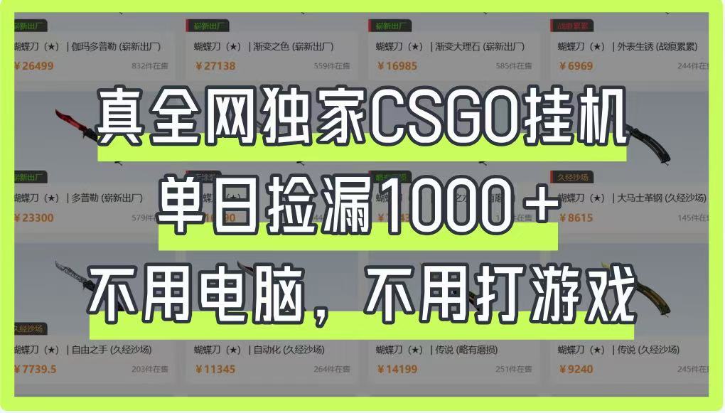 真全网独家CSGO挂机,单日捡漏1000+,不用电脑,不用养号-云创终点站